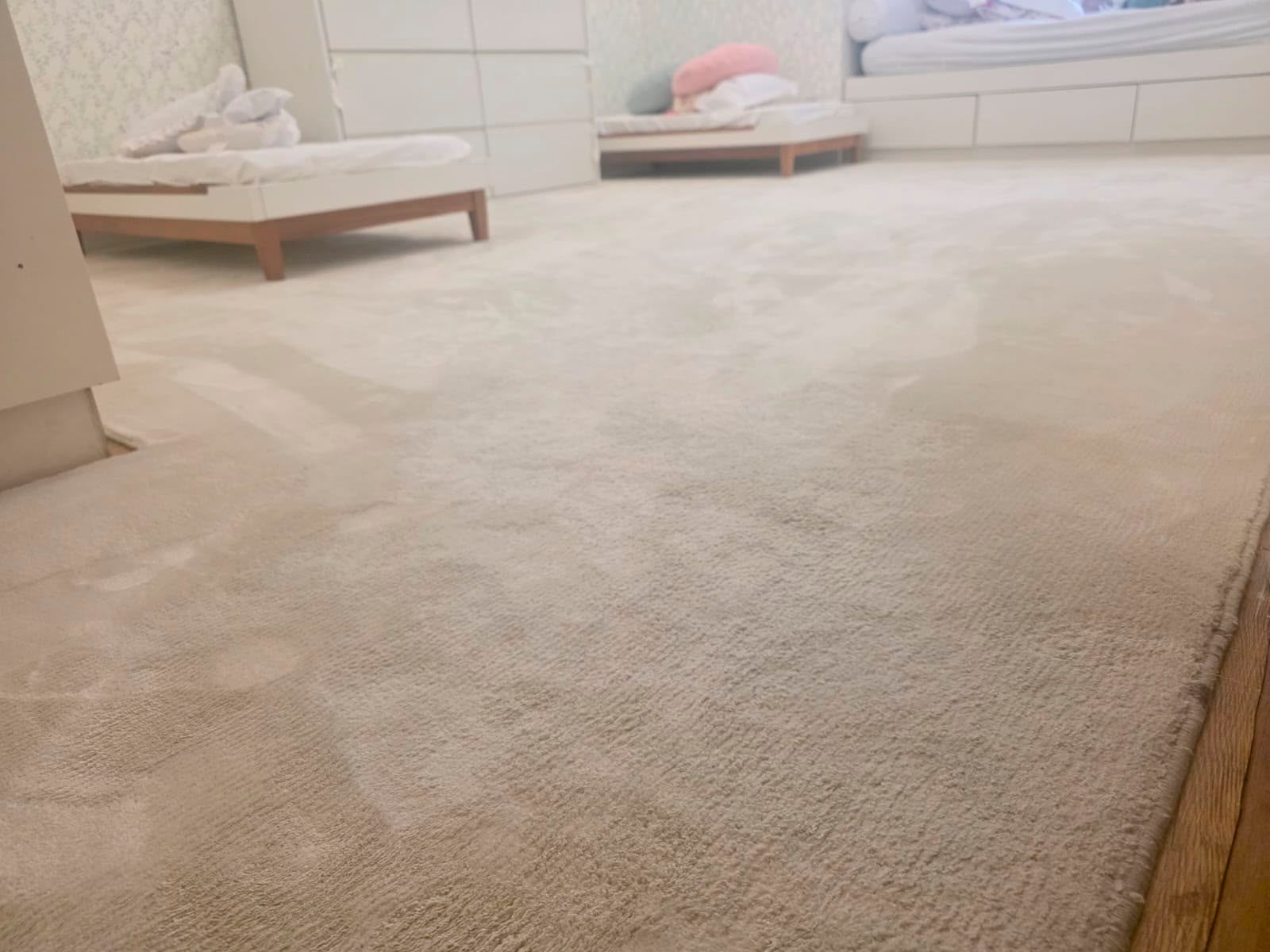Limpeza de tapetes e carpetes